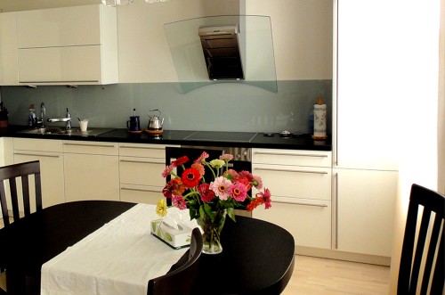 Кухни из пластика №74